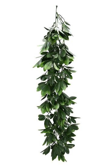 Εικόνα της NewPlan Κρεμαστό Φυτό (SET 10ΤΜΧ) CUBA 65cm T018 SCHEFFLERA