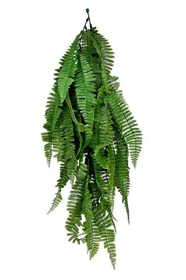 Εικόνα της NewPlan Κρεμαστό Φυτό (SET 10ΤΜΧ) CUBA 70cm T011 PERSIAN FERN
