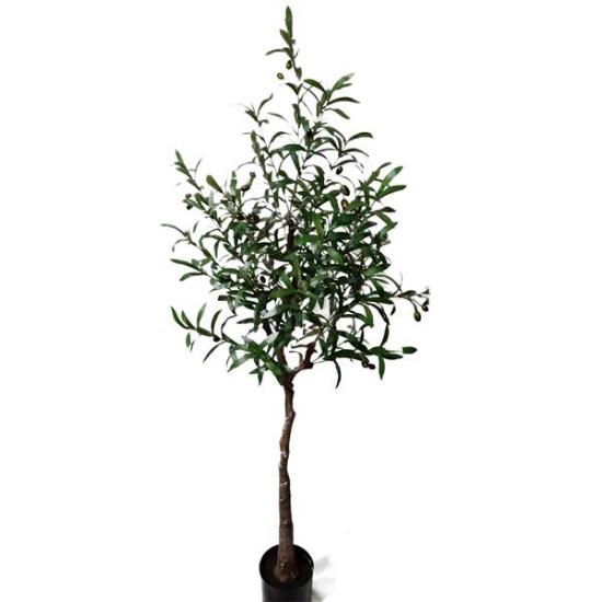 Εικόνα της NewPlan Τεχνητό Δέντρο Ελιά Ύψος 160cm OLIVE TREE NP4817_160_22