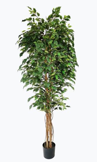 Εικόνα της NewPlan Τεχνητό Δέντρο Φίκος Ύψος 210cm FICUS TREE NP230_210_UV