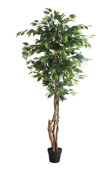 Εικόνα της NewPlan Τεχνητό Δέντρο Φίκος Ύψος 150cm FICUS TREE NP5208_150