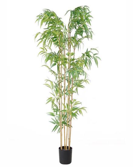 Εικόνα της NewPlan Τεχνητό Δέντρο Μπαμπού Ύψος 180cm BAMBOO  NP5801_180_22_UV