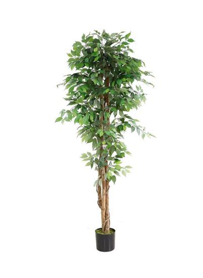 Εικόνα της NewPlan Τεχνητό Δέντρο Φίκος Ύψος 210cm FICUS TREE NP0081_210