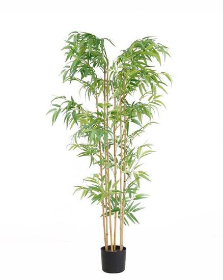 Εικόνα της NewPlan Τεχνητό Δέντρο Μπαμπού Ύψος 150cm BAMBOO  NP5801_150_22_UV