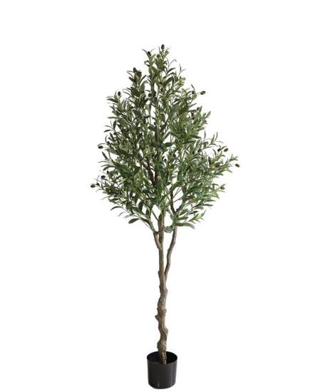 Εικόνα της NewPlan Τεχνητό Δέντρο Ελιά Ύψος 122cm OLIVE TREE NP415_122