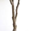 Εικόνα της NewPlan Τεχνητό Δέντρο Ελιά Ύψος 122cm OLIVE TREE NP415_122