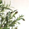 Εικόνα της NewPlan Τεχνητό Δέντρο Ελιά Ύψος 122cm OLIVE TREE NP415_122