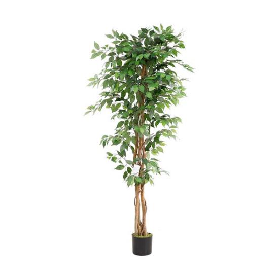 Εικόνα της NewPlan Τεχνητό Δέντρο Φίκος Ύψος 180cm FICUS TREE NP0080_180