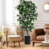 Εικόνα της NewPlan Τεχνητό Δέντρο Φίκος Ύψος 180cm FICUS TREE NP0080_180