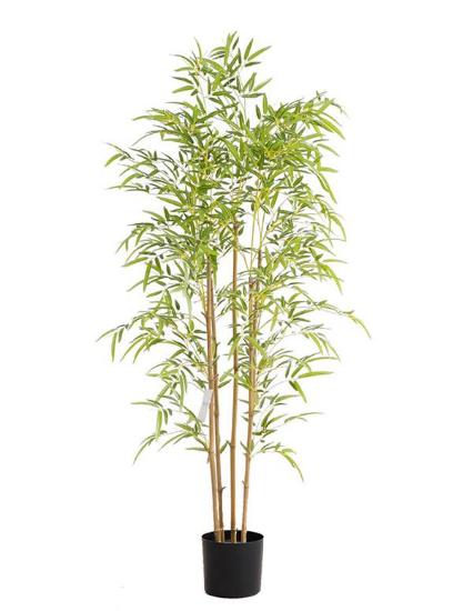 Εικόνα της NewPlan Τεχνητό Δέντρο Μπαμπού Ύψος 150cm BAMBOO  NP6320_150_22