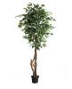 Εικόνα της NewPlan Τεχνητό Δέντρο Φίκος Ύψος 180cm FICUS TREE NP5209_180