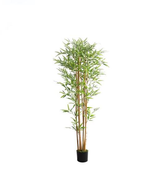 Εικόνα της NewPlan Τεχνητό Δέντρο Μπαμπού Ύψος 180cm BAMBOO NP0075_180