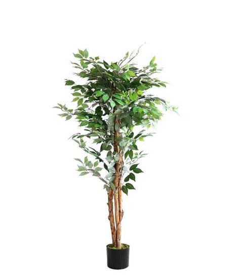 Εικόνα της NewPlan Τεχνητό Δέντρο Φίκος Ύψος 150cm FICUS TREE NP0079_150