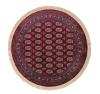 Εικόνα της NewPlan Χαλί Sonia 248/301220 R - 160X160