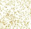 Εικόνα της Polyvine Sparkling Metallic Glitter Gold Εφέ Τεχνοτροπίας 500ml