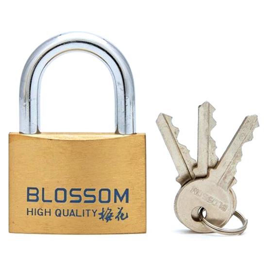 Εικόνα της Blossom BC16 Λουκέτο Πέταλο με Κλειδί 55mm