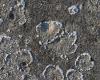 Εικόνα της Nanophos DeSalin C Καθαριστικό Υπολειμμάτων Τσιμέντου Κατάλληλο για Πέτρα 1kg