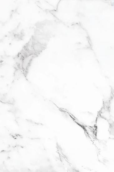 Εικόνα της NewPlan Pvc Mega Panel 2.8/1220/2800Mm Carrara Bianco 101