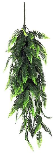 Εικόνα της NewPlan Κρεμαστό Φυτό Cuba (Set 10Τμχ) 75Cm 016 Fern Persa