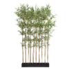 Εικόνα της Newplan Bamboo In Pot (L90*W30)  Np827_180_Uv  Υψος 180Cm
