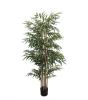 Εικόνα της  Bamboo  Np824_153  Υψος 153Cm Newplan