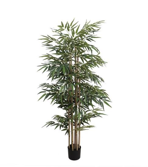 Εικόνα της  Bamboo  Np824_153  Υψος 153Cm Newplan