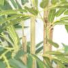 Εικόνα της  Bamboo  Np824_153  Υψος 153Cm Newplan