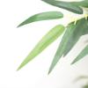 Εικόνα της  Bamboo  Np824_153  Υψος 153Cm Newplan