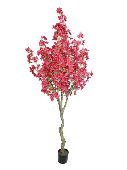 Εικόνα της Newplan Bougainvillea Np0421_210  Υψος 210Cm