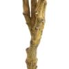 Εικόνα της Newplan Bougainvillea Np0421_210  Υψος 210Cm
