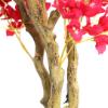 Εικόνα της Newplan Bougainvillea Np0421_210  Υψος 210Cm