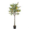 Εικόνα της Newplan Lemon Tree  Np_30_170  Υψος 170Cm