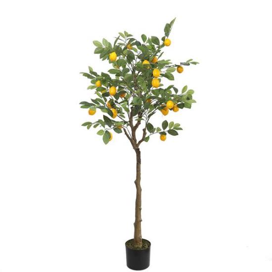 Εικόνα της Newplan Lemon Tree  Np_30_170  Υψος 170Cm