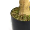 Εικόνα της Newplan Lemon Tree  Np_30_170  Υψος 170Cm