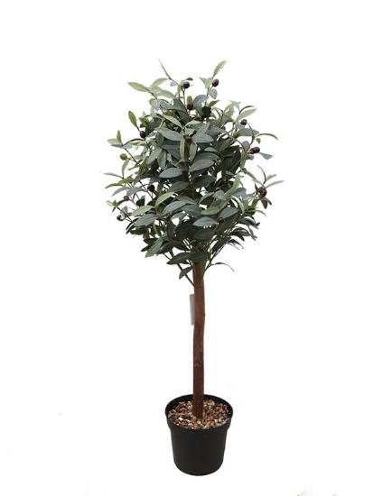 Εικόνα της  Olive Tree Np459_120 Υψος 120Cm Newplan