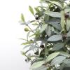 Εικόνα της  Olive Tree Np459_120 Υψος 120Cm Newplan
