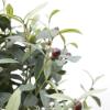 Εικόνα της  Olive Tree Np459_120 Υψος 120Cm Newplan
