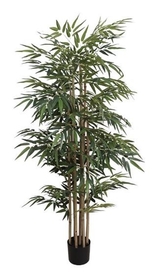 Εικόνα της Newplan Bamboo Np828_210_Uv  Υψος 210Cm