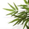 Εικόνα της Newplan Bamboo Np828_210_Uv  Υψος 210Cm
