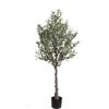 Εικόνα της  Olive Tree Np439_150 Υψος 150Cm Newplan