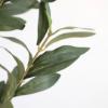 Εικόνα της  Olive Tree Np439_150 Υψος 150Cm Newplan