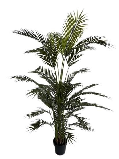 Εικόνα της NewPlan Τεχνητό Δέντρο Φοίνικας Ύψος 210cm PALM TREE  NP160_210_UV