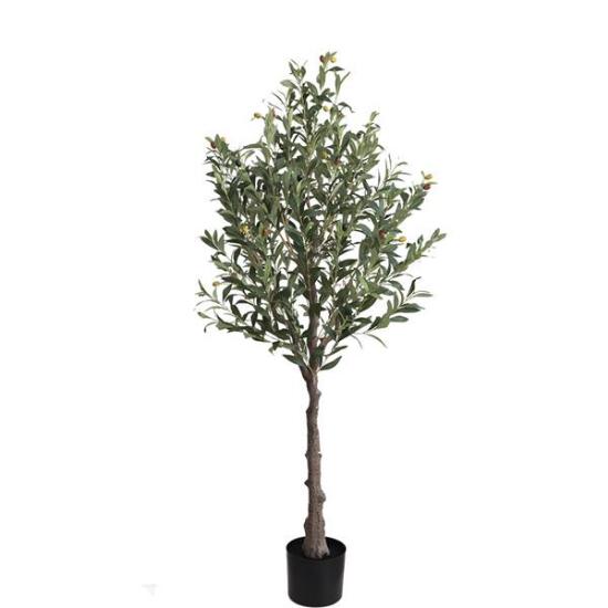 Εικόνα της Newplan Olive Tree Np439_150Ύψος 150cm