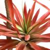 Εικόνα της Newplan Sisal Tree Np_811_140 Ύψος 140cm