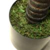 Εικόνα της Newplan Agave Tree Np802_160 Ύψος 160cm