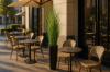 Εικόνα της Newplan Onion Grass Tree  Np1011_120 Υψος 120Cm